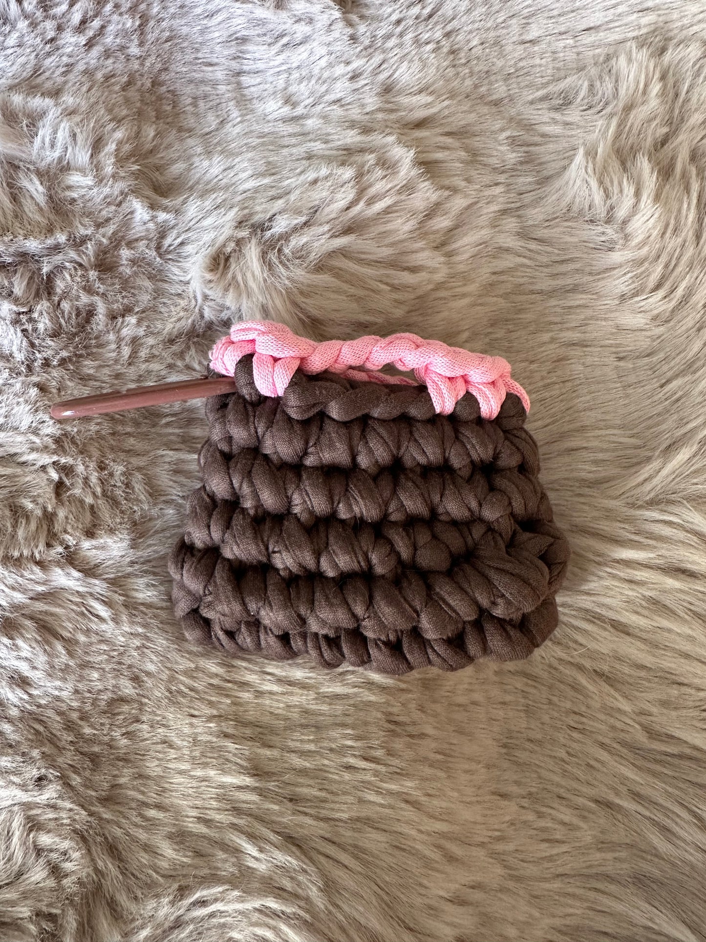 Pochettes Airpods 🐆